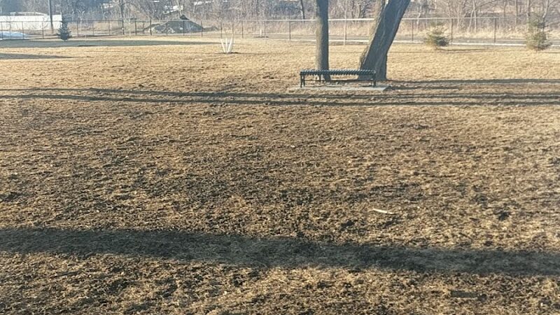 City of Hutchinson Dog Park - Hutchinson, MN