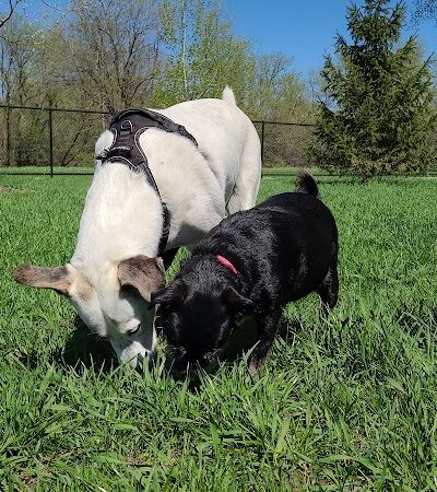 City of Hutchinson Dog Park - Hutchinson, MN