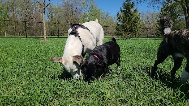 City of Hutchinson Dog Park - Hutchinson, MN