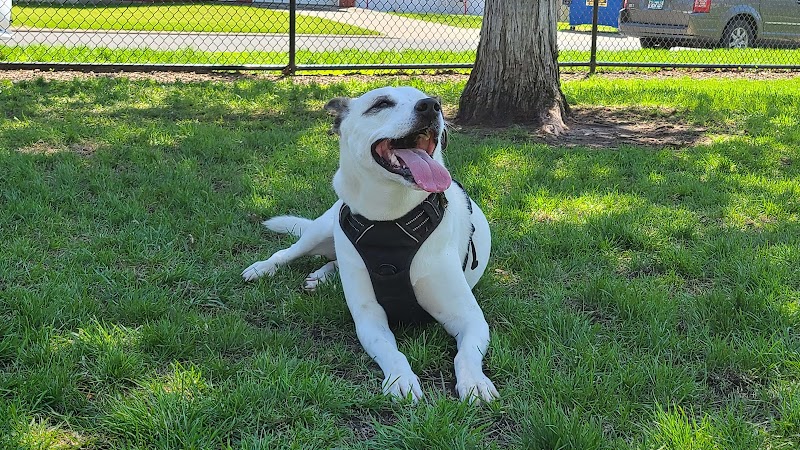 City of Hutchinson Dog Park - Hutchinson, MN