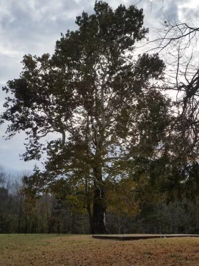Crawford County Fish & Wildlife - Hutsonville, IL