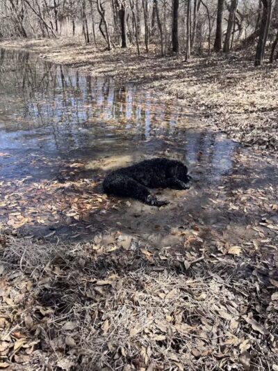 Crawford County Fish & Wildlife - Hutsonville, IL