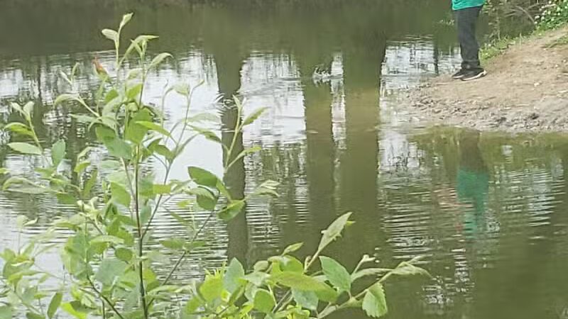 Hutson Memorial Park - Hutsonville, IL