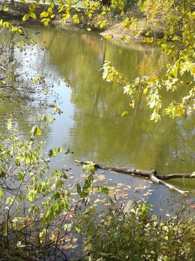 Hutson Memorial Park - Hutsonville, IL