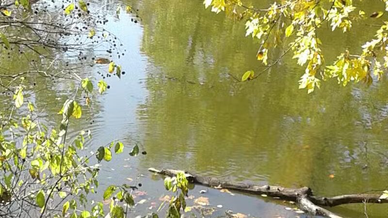 Hutson Memorial Park - Hutsonville, IL