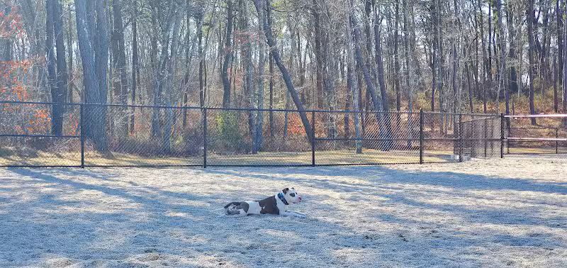 Barnstable Dog Park - Hyannis, MA