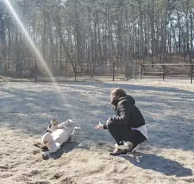 Barnstable Dog Park - Hyannis, MA
