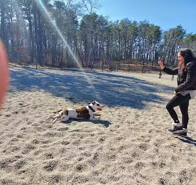 Barnstable Dog Park - Hyannis, MA