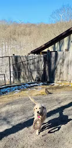 Dogwood Pet Resort - Hyndman, PA