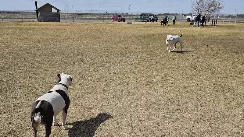 Dog Park