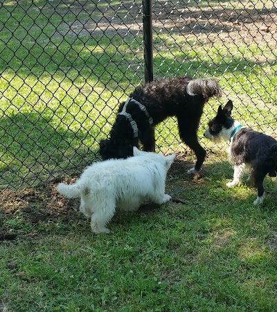 Independence Dog Park - Independence, KS