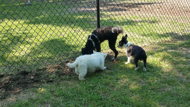 Independence Dog Park - Independence, KS