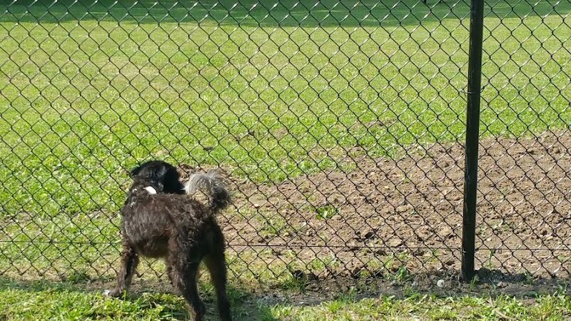 Independence Dog Park - Independence, KS