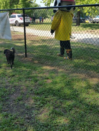 Independence Dog Park - Independence, KS