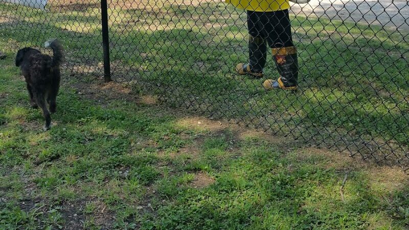 Independence Dog Park - Independence, KS