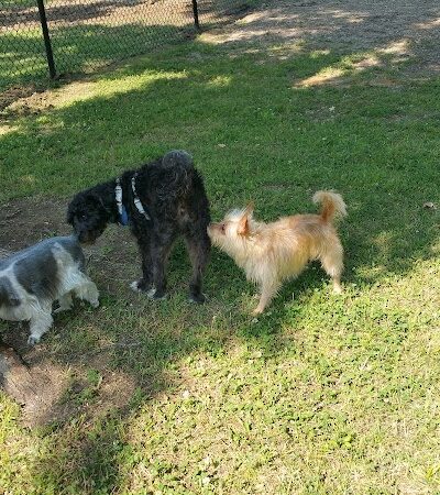 Independence Dog Park - Independence, KS