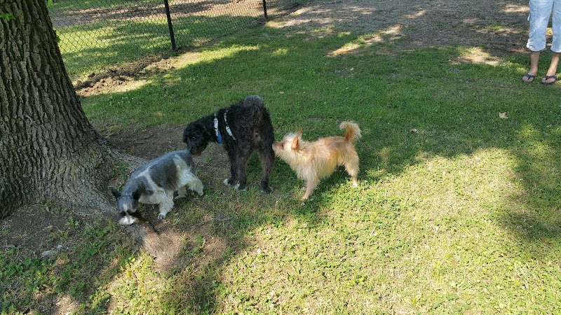 Independence Dog Park - Independence, KS