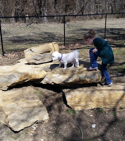 Independence Dog Park - Independence, KS