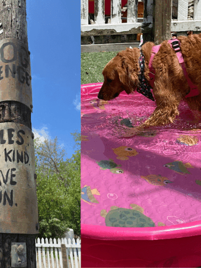 Dog Henge Dog Park - Indianapolis, IN