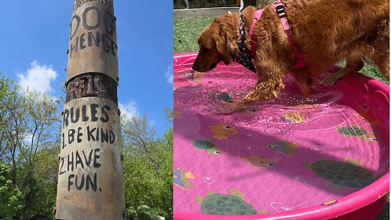 Dog Henge Dog Park - Indianapolis, IN