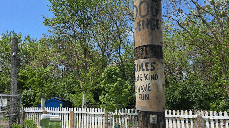 Dog Henge Dog Park - Indianapolis, IN