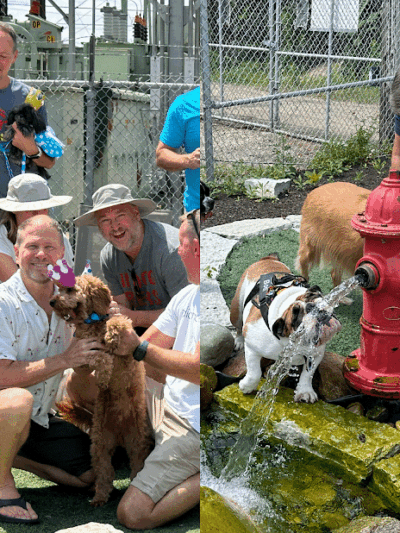 Dog Henge Dog Park - Indianapolis, IN