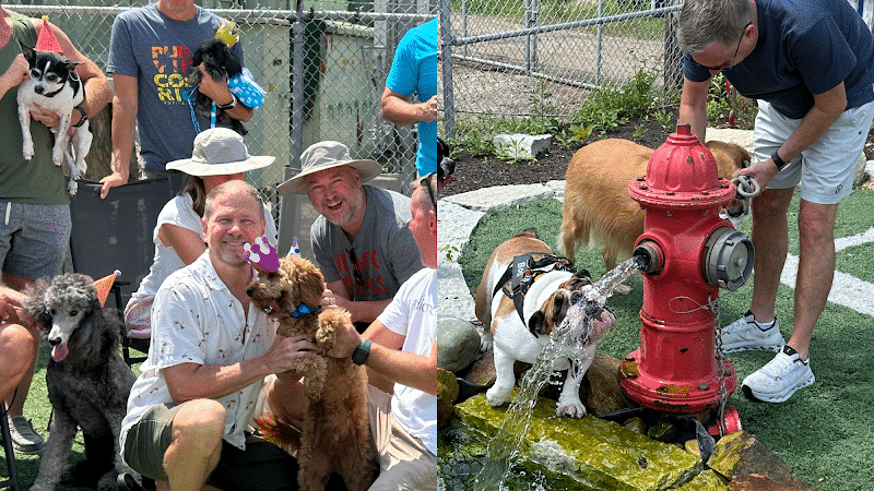 Dog Henge Dog Park - Indianapolis, IN
