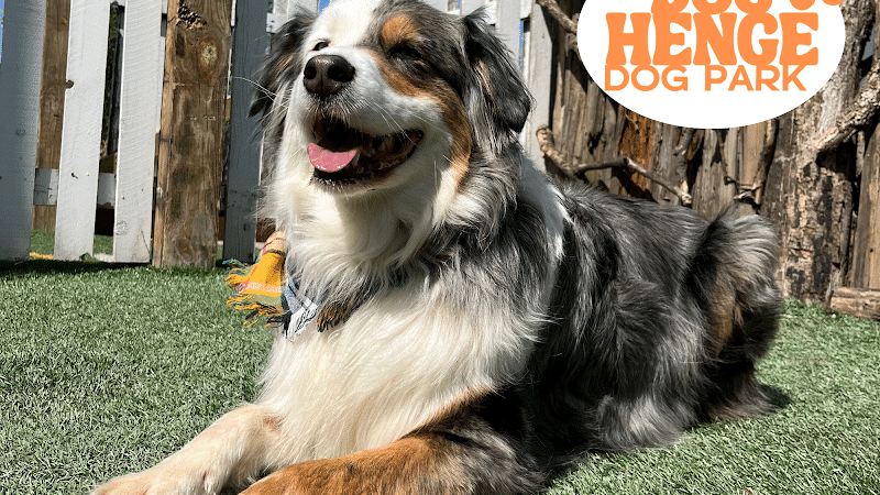 Dog Henge Dog Park - Indianapolis, IN