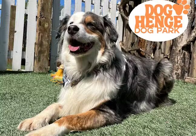 Dog Henge Dog Park - Indianapolis, IN