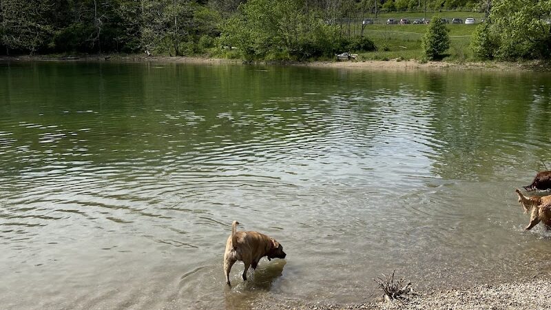 Fort Harrison State Park Dog Park - Indianapolis, IN