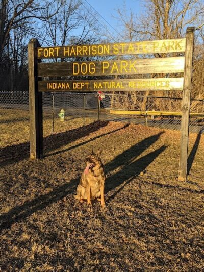 Fort Harrison State Park Dog Park - Indianapolis, IN