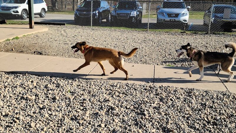 Fort Harrison State Park Dog Park - Indianapolis, IN