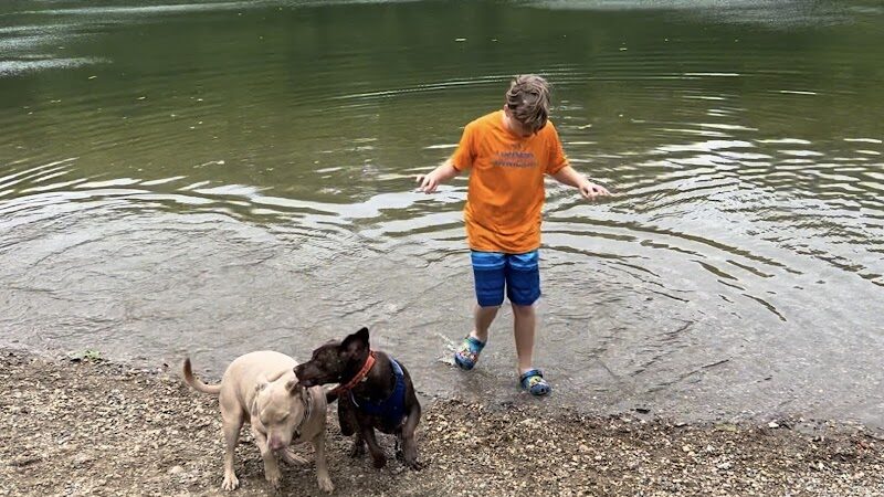 Fort Harrison State Park Dog Park - Indianapolis, IN