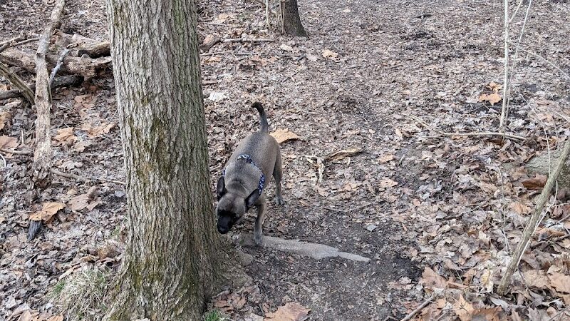 Fort Harrison State Park Dog Park - Indianapolis, IN