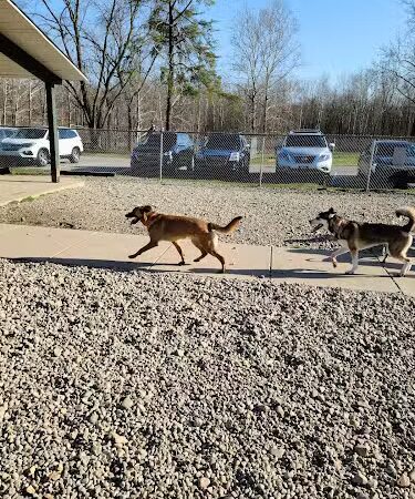 Fort Harrison State Park Dog Park - Indianapolis, IN