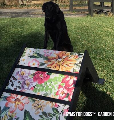 Gyms for Dogs - Natural Dog Park Products - Indianapolis, IN