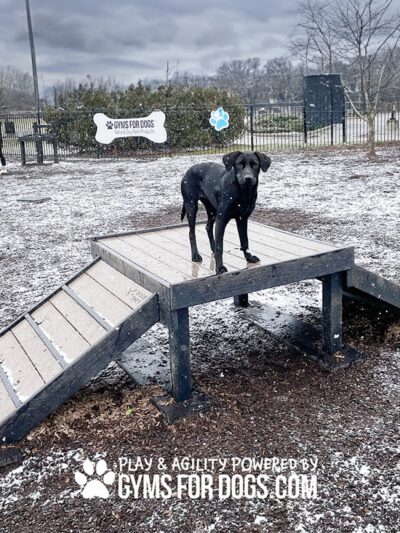 Gyms for Dogs - Natural Dog Park Products - Indianapolis, IN