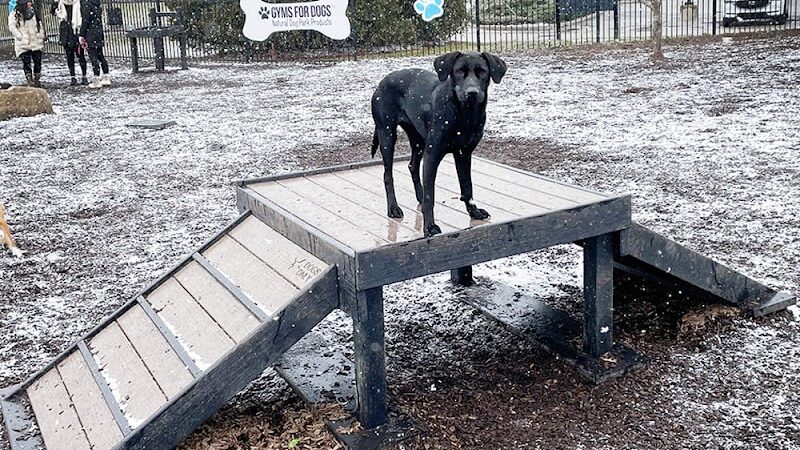 Gyms for Dogs - Natural Dog Park Products - Indianapolis, IN