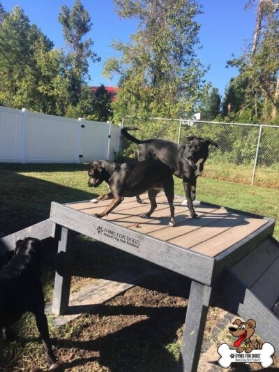 Gyms for Dogs - Natural Dog Park Products - Indianapolis, IN