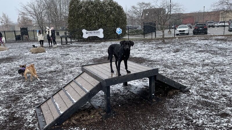 Gyms for Dogs - Natural Dog Park Products - Indianapolis, IN