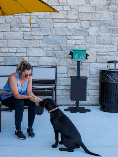 Gyms for Dogs - Natural Dog Park Products - Indianapolis, IN