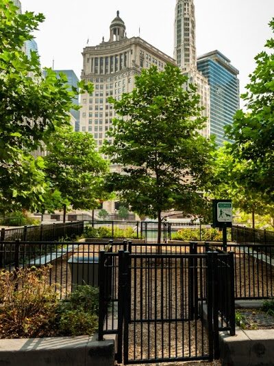 Gyms for Dogs - Natural Dog Park Products - Indianapolis, IN