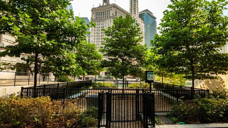 Gyms for Dogs - Natural Dog Park Products - Indianapolis, IN