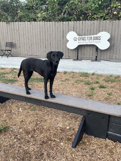 Gyms for Dogs - Natural Dog Park Products - Indianapolis, IN