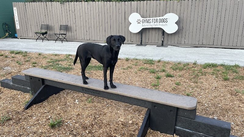 Gyms for Dogs - Natural Dog Park Products - Indianapolis, IN