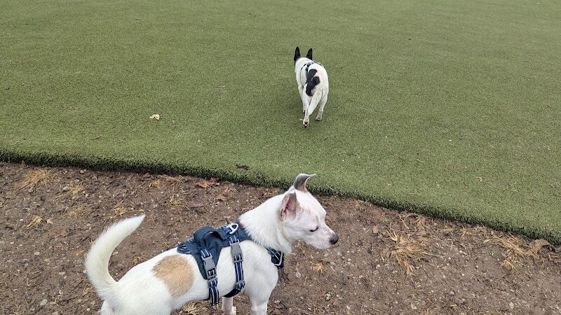 The Dog Park at Immanuel - Indianapolis, IN