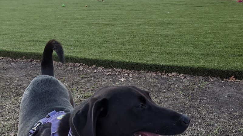 The Dog Park at Immanuel - Indianapolis, IN