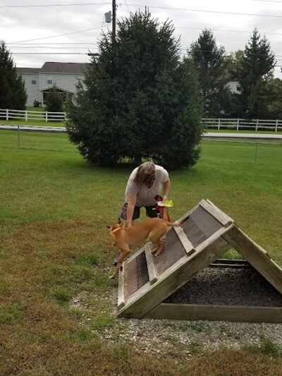 Waggin' Tails Bark Park - Indianapolis, IN