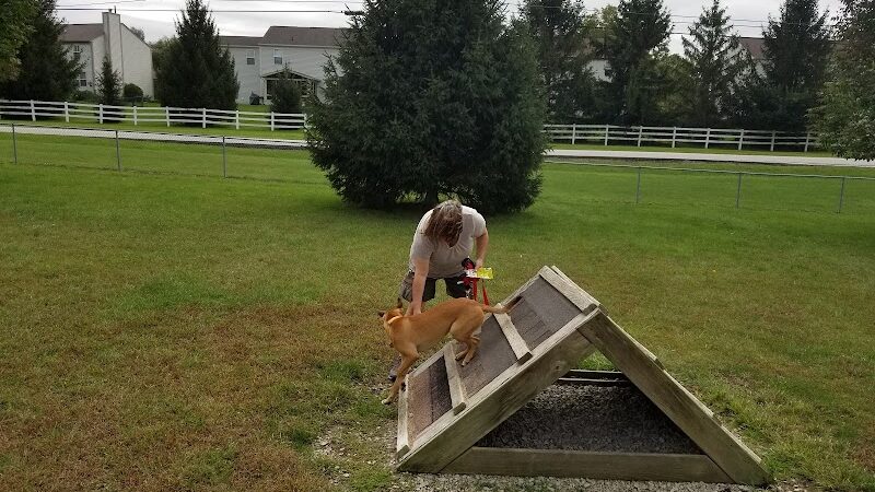 Waggin' Tails Bark Park - Indianapolis, IN