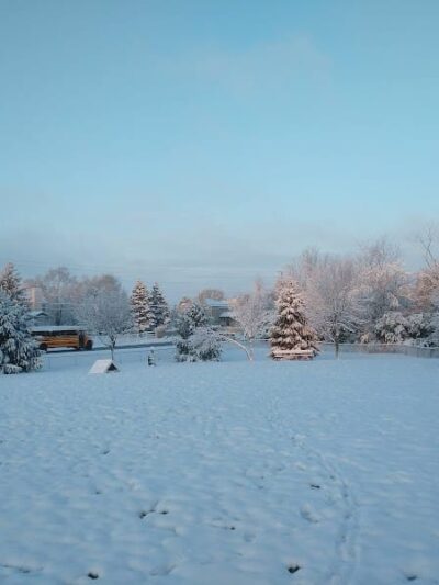 Waggin' Tails Bark Park - Indianapolis, IN